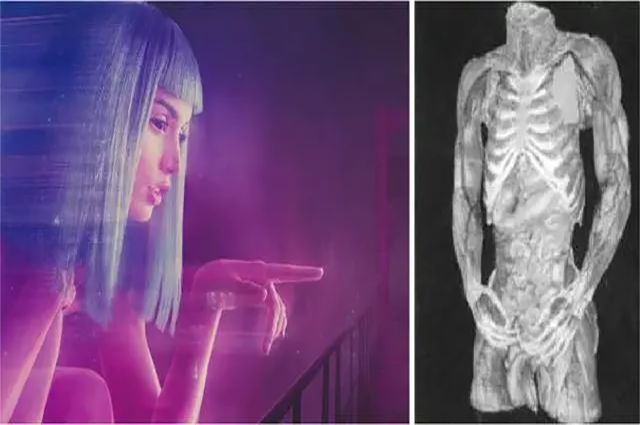 直播虚拟聊天软件(让你足不出户就可以体验虚拟交流的直播聊天软件)